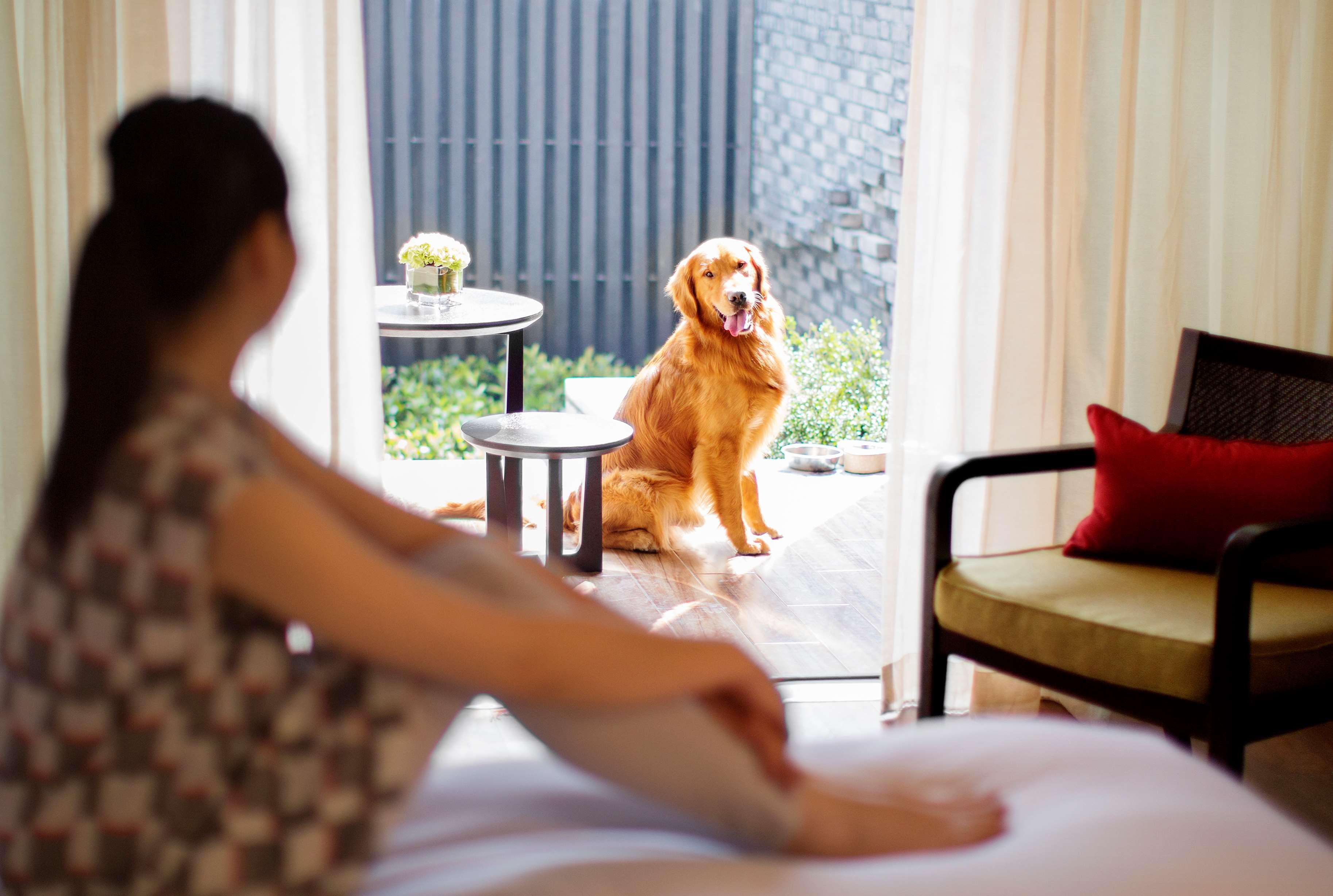 Hyatt Regency Chongming Hotell Exteriör bild